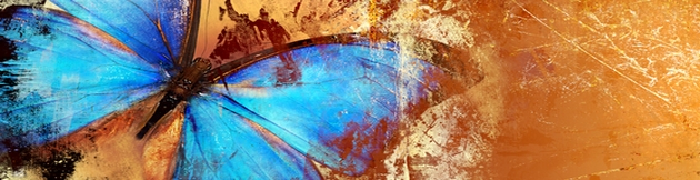 image example